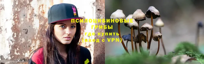 Псилоцибиновые грибы MAGIC MUSHROOMS  Геленджик 